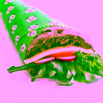 Pandoo Opakovaně použitelný obal se včelím voskem