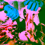 Pet Farm Family Kravina vývar pro psy a kočky