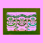 Hampstead Tea London Dárkový balíček výběru BIO zelených čajů