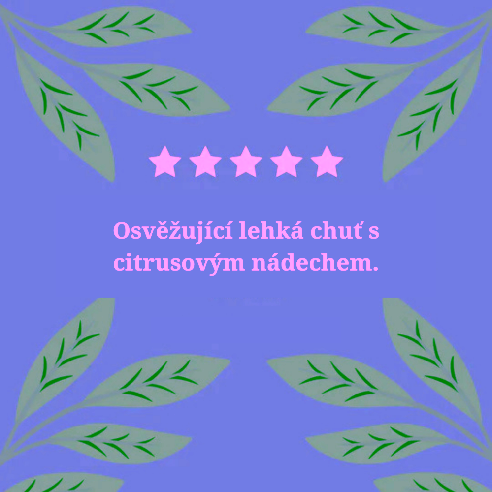 Hampstead Tea London Dárkový balíček výběru BIO černých čajů