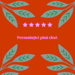 Hampstead Tea London Dárkový balíček výběru BIO černých čajů