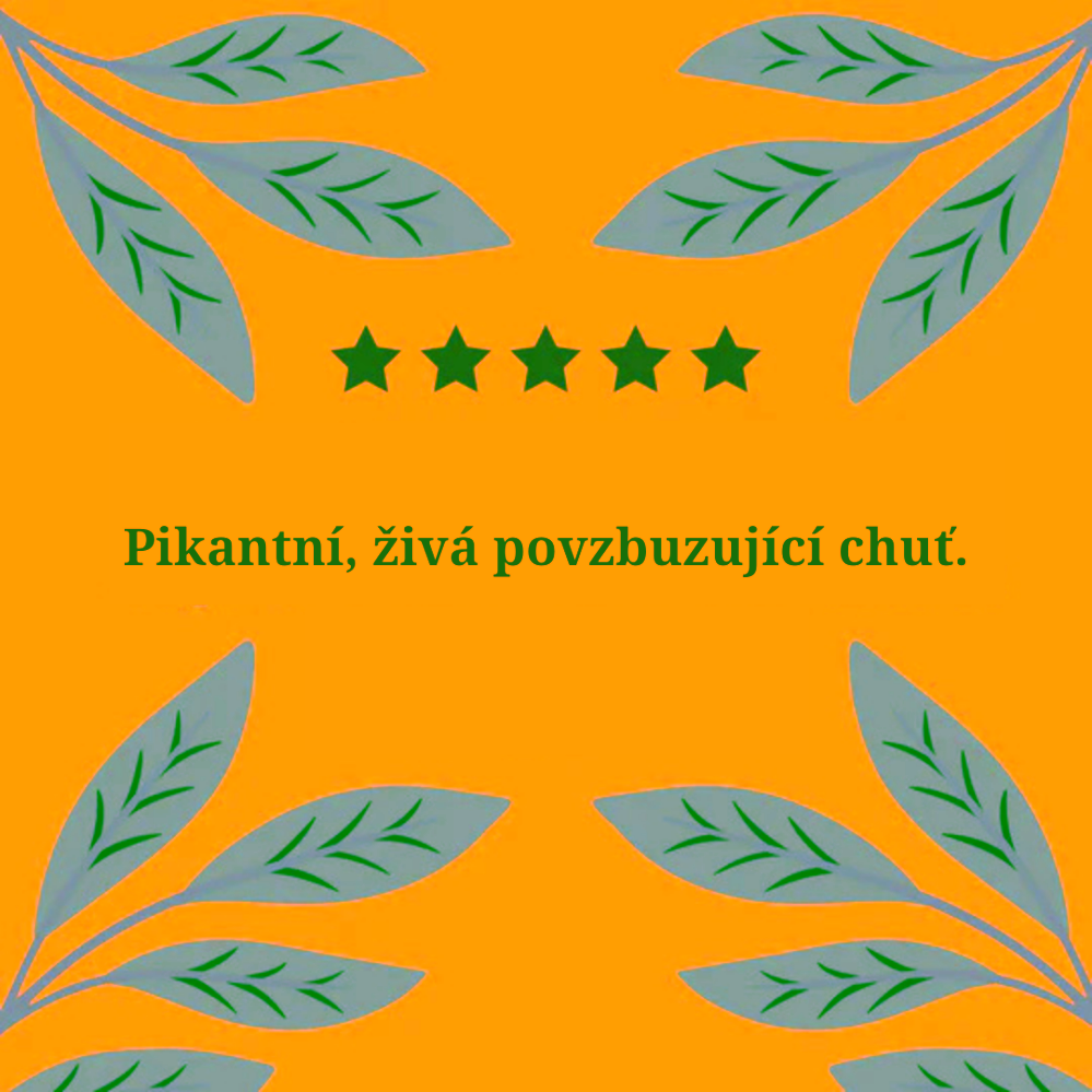 Hampstead Tea London Dárkový balíček výběru BIO bylinných čajů