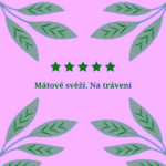 Hampstead Tea London Dárkový balíček výběru BIO bylinných čajů