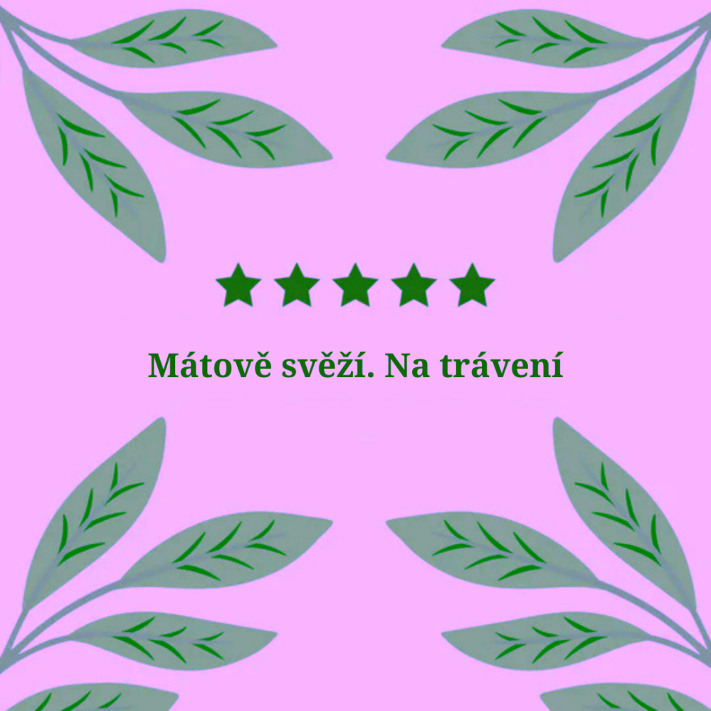 Hampstead Tea London Dárkový balíček výběru BIO bylinných čajů