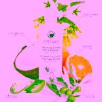 Odylique Sprchový gel exotická vůně Ylang & Pomeranč