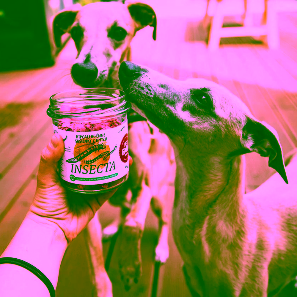 Pet Farm Family Insecta Sušenky