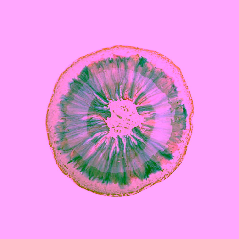 Bloomingville Amalia kameninová mísa Blue 1400 ml