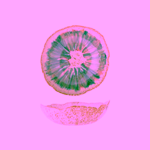 Bloomingville Amalia kameninová mísa Blue 1400 ml