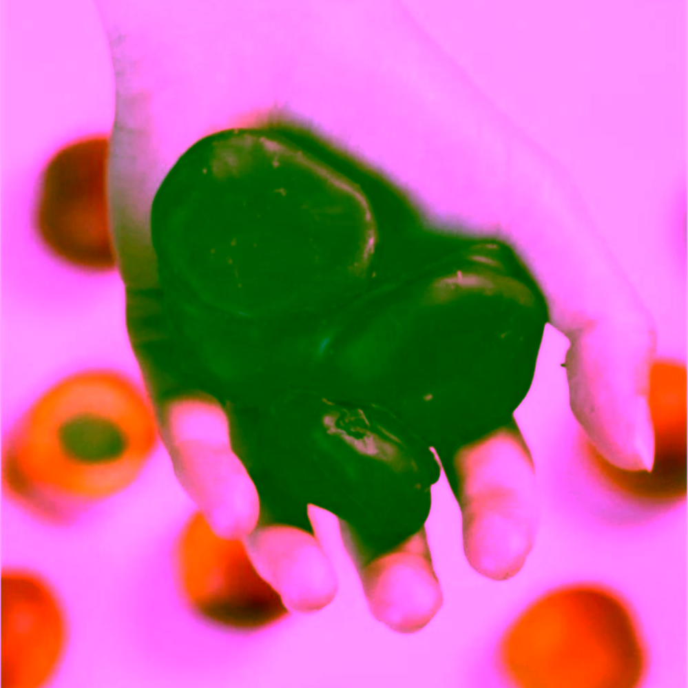 Ajala Jumbo meruňky ve 100% čokoládě Ekvádor