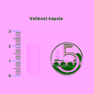 brainmax-allergy-support-alergie-a-dychaci-cesty-1