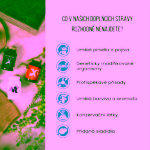 BrainMax Allergy support Alergie a dýchací cesty