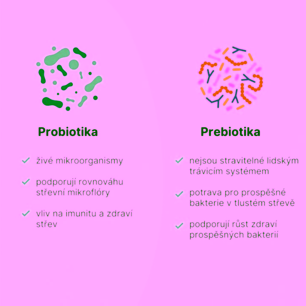 BrainMax Histamine Biotics Histamin Probiotika