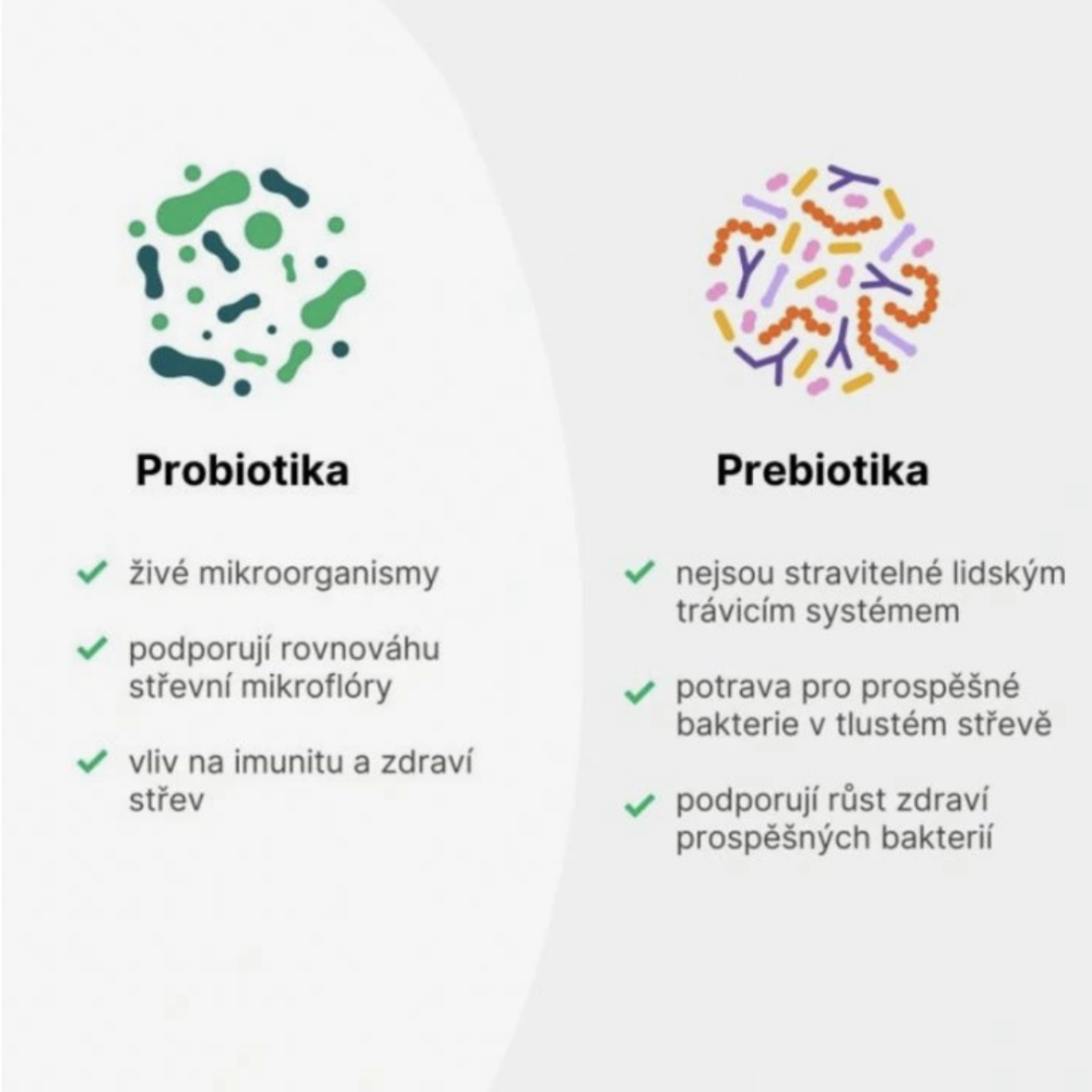 BrainMax Histamine Biotics Histamin Probiotika