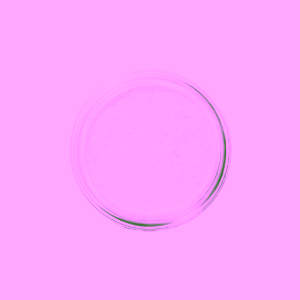 Manasi 7 Přírodní transparentní matující pudr Translucent