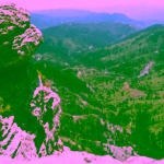 1450 Hellenic Herbs Bio Řecký horský čaj