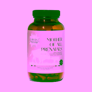 Wild Mamas Divoké bizoní orgány pastvené v prérii