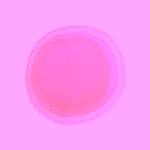 Bloomingville Louisa kameninový talíř 27 cm