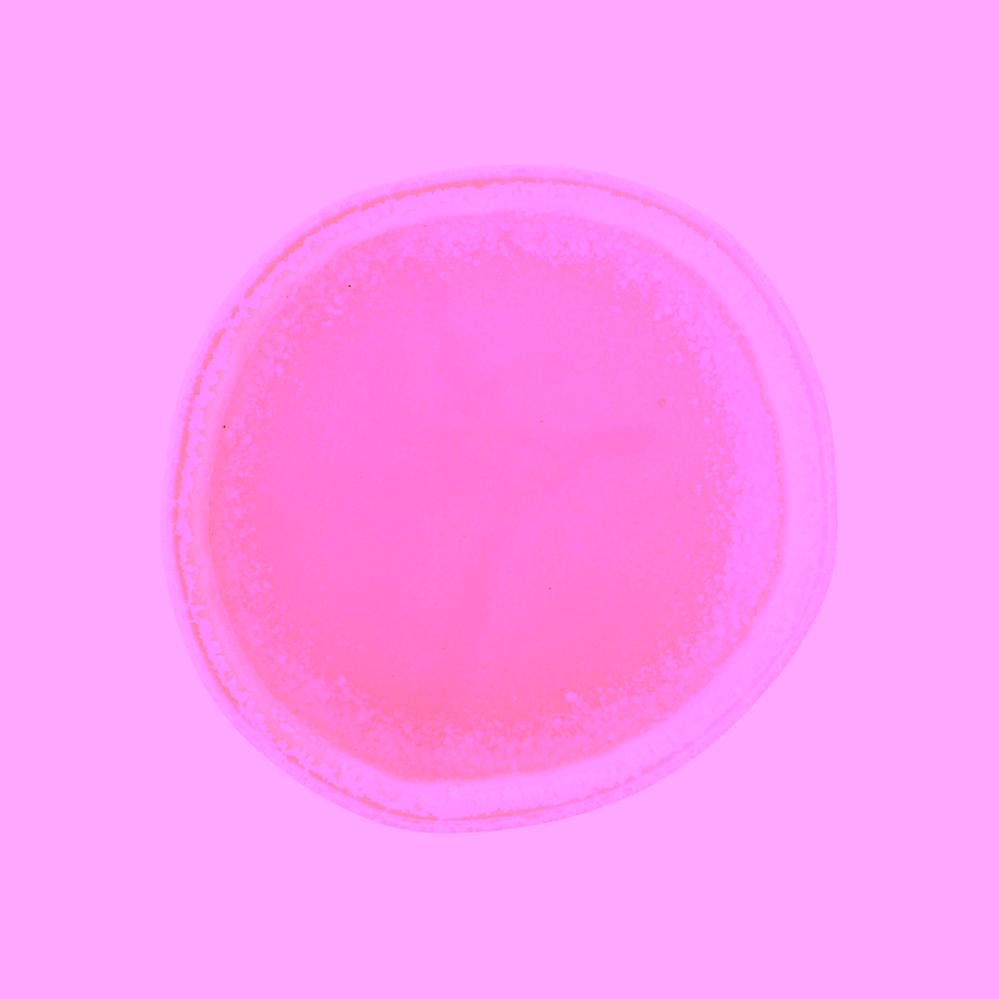 Bloomingville Louisa kameninový talíř 27 cm