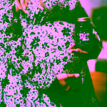 BrainMax Prenatal Complex komplex vitamínů pro těhotné ženy