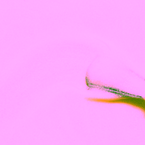 manucurist-green-lak-lemonade-15ml-1