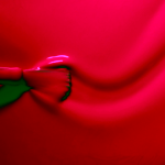 Manucurist Green lak Petula