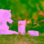 Vetki Aller-Immunity Complex Komplex imunita, zažívání, srst a kůže