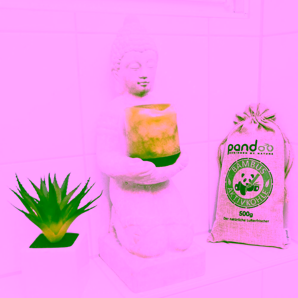 Pandoo Přírodní bambusový čistič vzduchu s aktivním uhlím 1x500 g
