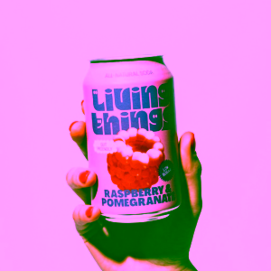 living-things-raspberry-&-pomegranate-330ml-1