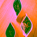 Květomluva Jerky krůta pro děti