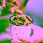 Květomluva Bio bylinné krekry AIP dobromysl, pažitka