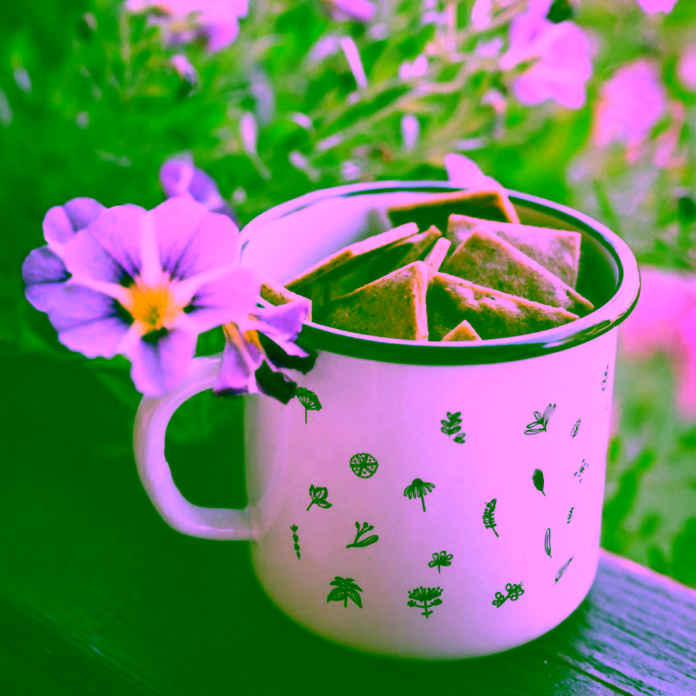 Květomluva Bio bylinné krekry AIP dobromysl, pažitka