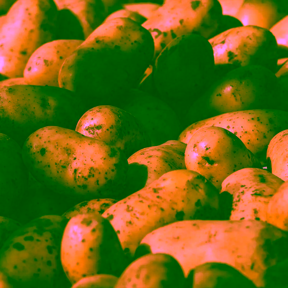 Pufston's Potato Chips Solené bramborové chipsy