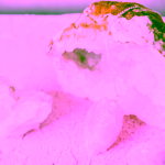 Yoga Day Kyvadlo se surovým růženínem