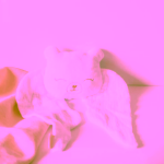 Ilado Bear Lovey for Harmony Ball plyšový medvídek na bolu