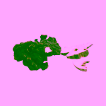 MycoMedica Polyporus PRO