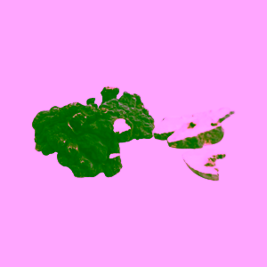 mycomedica-polyporus-90tablet-1