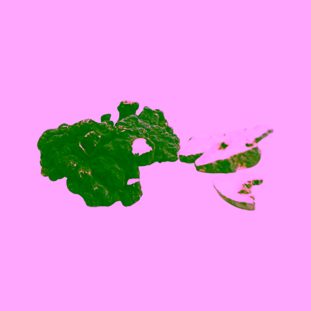 MycoMedica Polyporus PRO