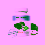 MycoMedica Polyporus