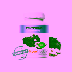MycoMedica Polyporus