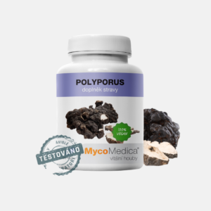 MycoMedica Polyporus