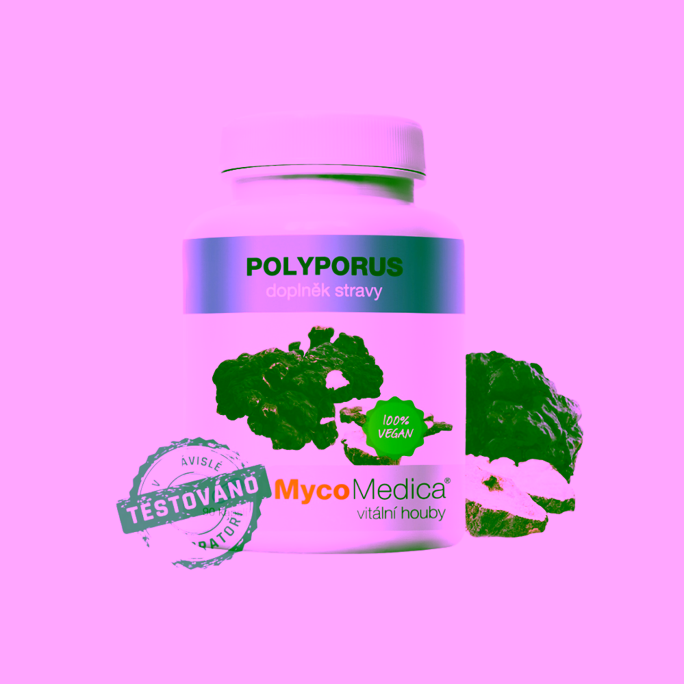 MycoMedica Polyporus