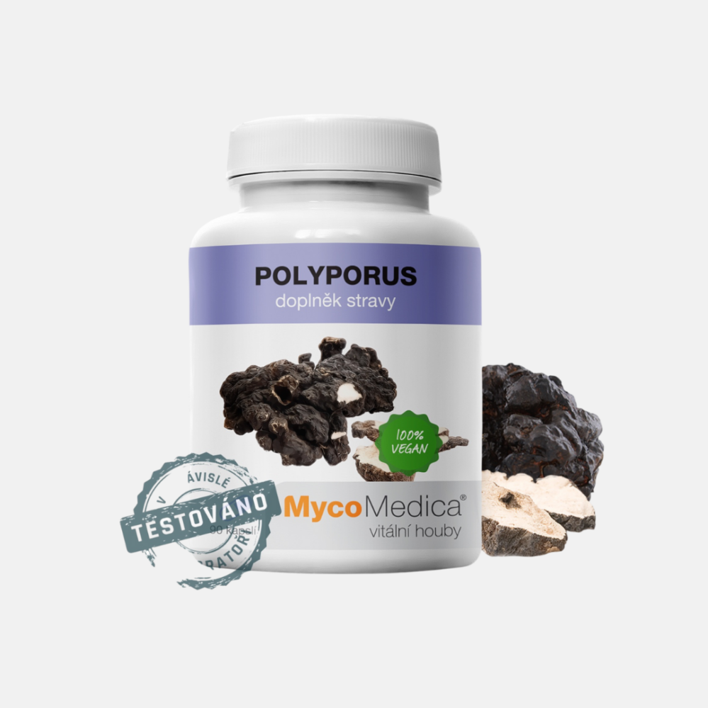 MycoMedica Polyporus