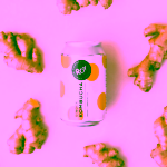 ROY Bio Zázvorová kombucha