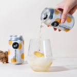 ROY Bio Zázvorová kombucha