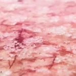 Růžová řasa + Jojobový olej