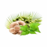 MycoMedica MycoProsten