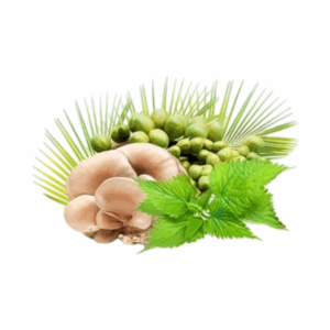 MycoProsten - infografika