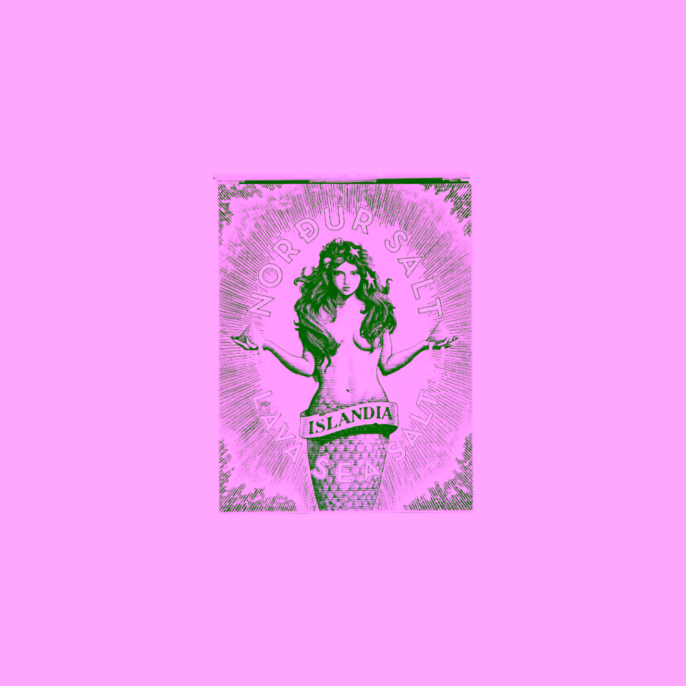 Nordur Salt Arktická lávová sůl vločková v krabičce 100 g