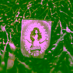 Nordur Salt Arktická sůl vločková s mořskou řasou v plechovce 100 g