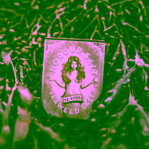 Nordur Salt Mořská sůl s mořskou řasou